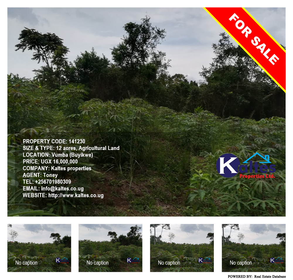 Agricultural Land  for sale in Vvumba Buyikwe Uganda, code: 141230