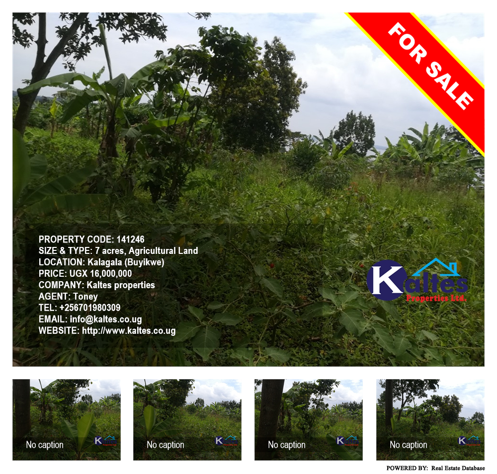 Agricultural Land  for sale in Kalagala Buyikwe Uganda, code: 141246
