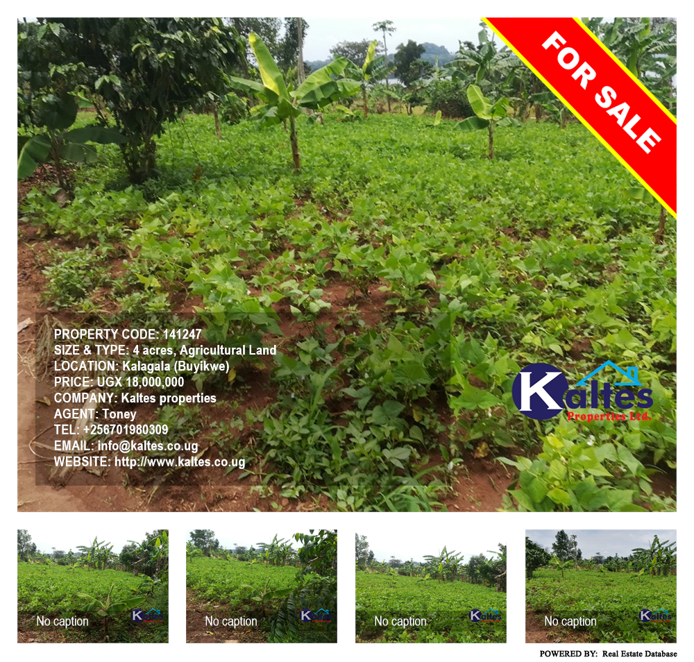 Agricultural Land  for sale in Kalagala Buyikwe Uganda, code: 141247