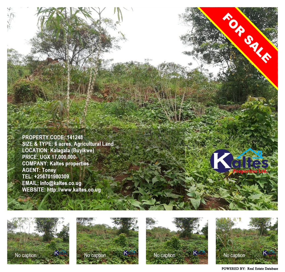 Agricultural Land  for sale in Kalagala Buyikwe Uganda, code: 141248