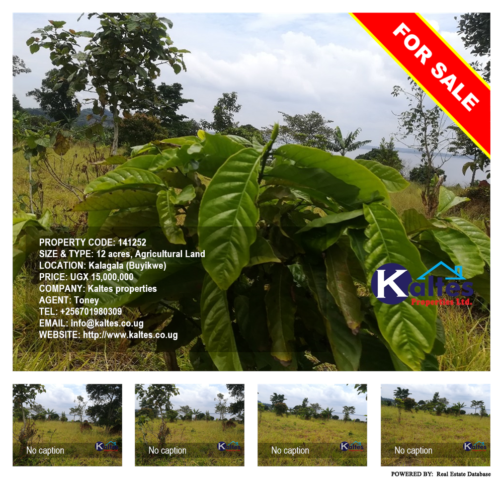 Agricultural Land  for sale in Kalagala Buyikwe Uganda, code: 141252