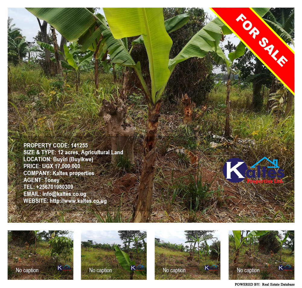 Agricultural Land  for sale in Buyiri Buyikwe Uganda, code: 141255