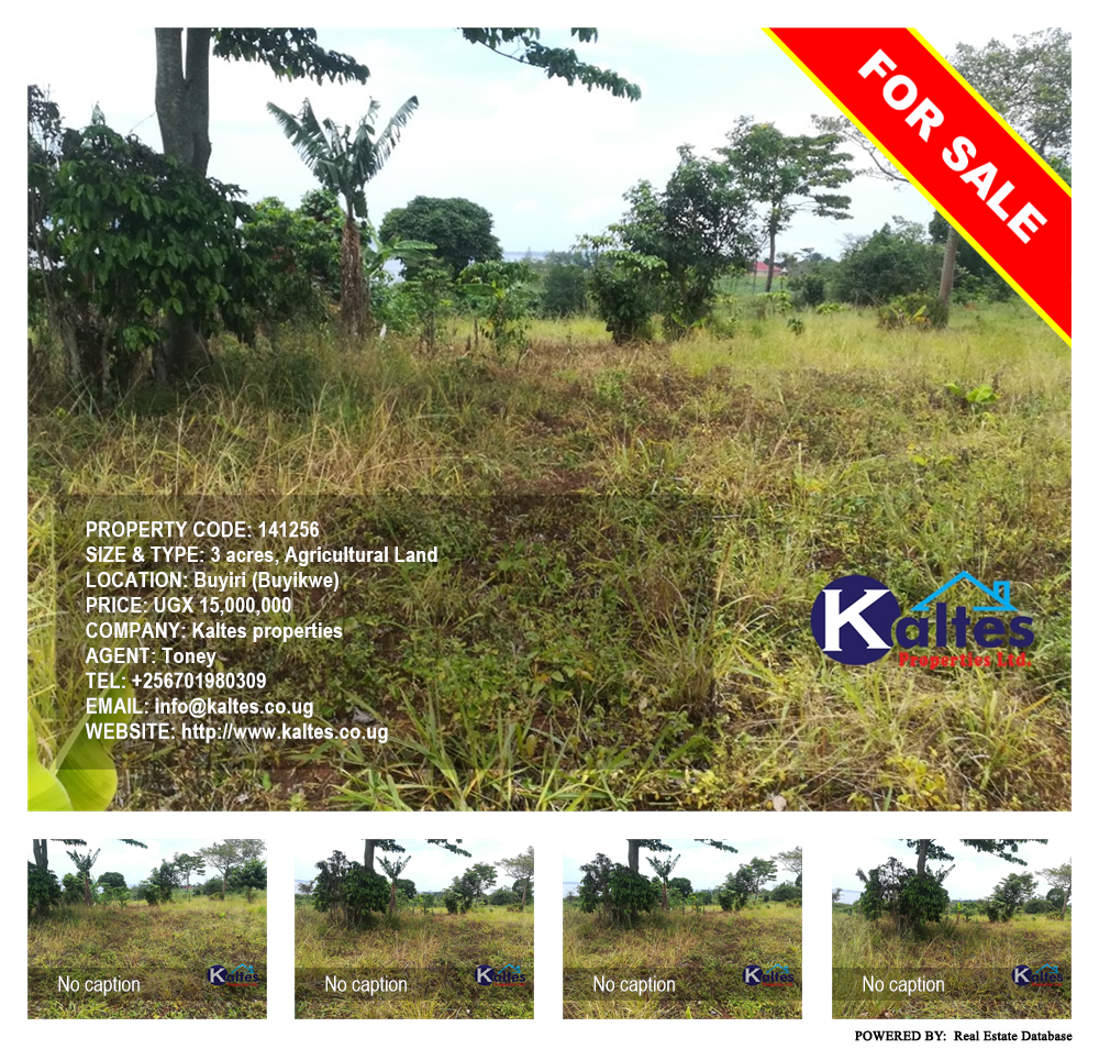 Agricultural Land  for sale in Buyiri Buyikwe Uganda, code: 141256