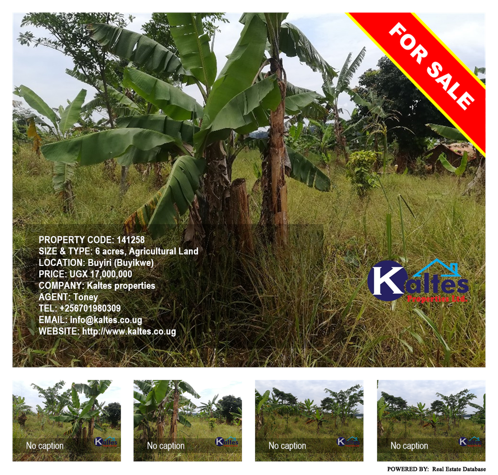 Agricultural Land  for sale in Buyiri Buyikwe Uganda, code: 141258
