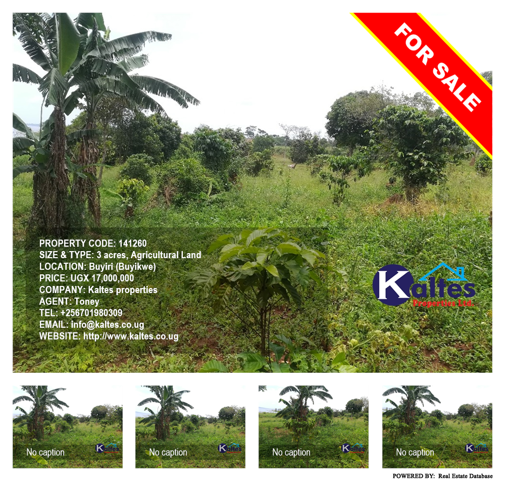 Agricultural Land  for sale in Buyiri Buyikwe Uganda, code: 141260