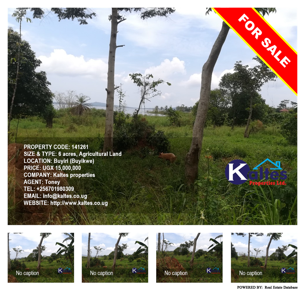 Agricultural Land  for sale in Buyiri Buyikwe Uganda, code: 141261