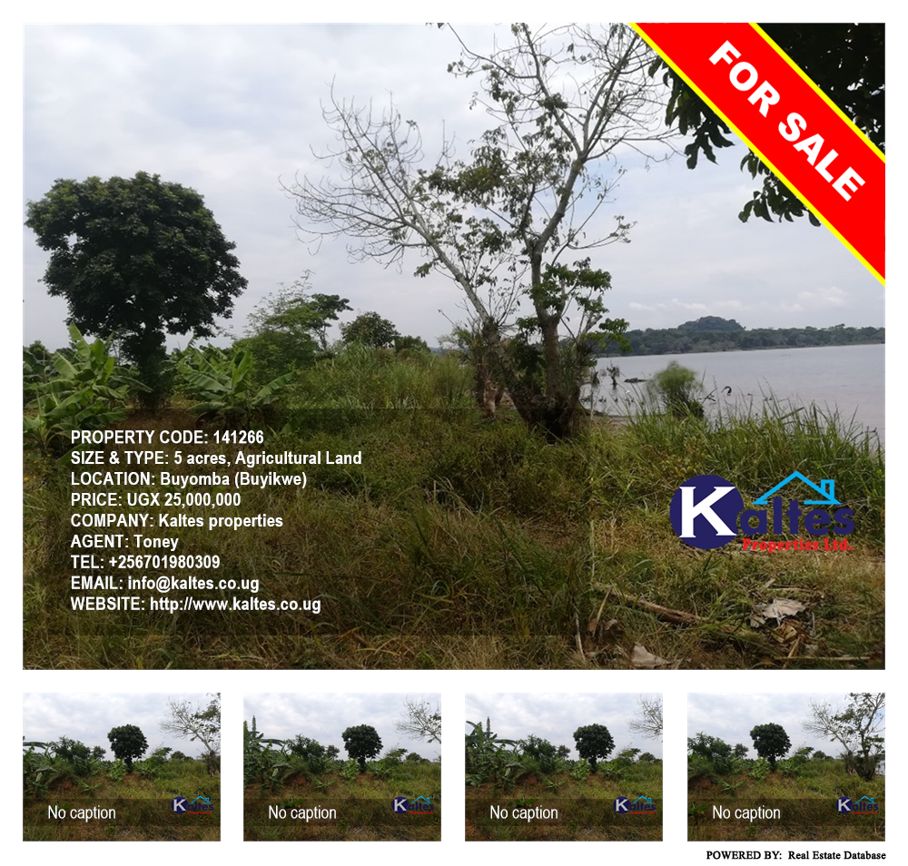 Agricultural Land  for sale in Buyomba Buyikwe Uganda, code: 141266