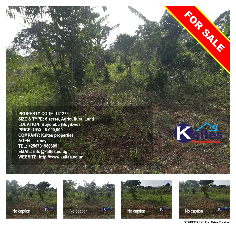 Agricultural Land  for sale in Buyomba Buyikwe Uganda, code: 141273