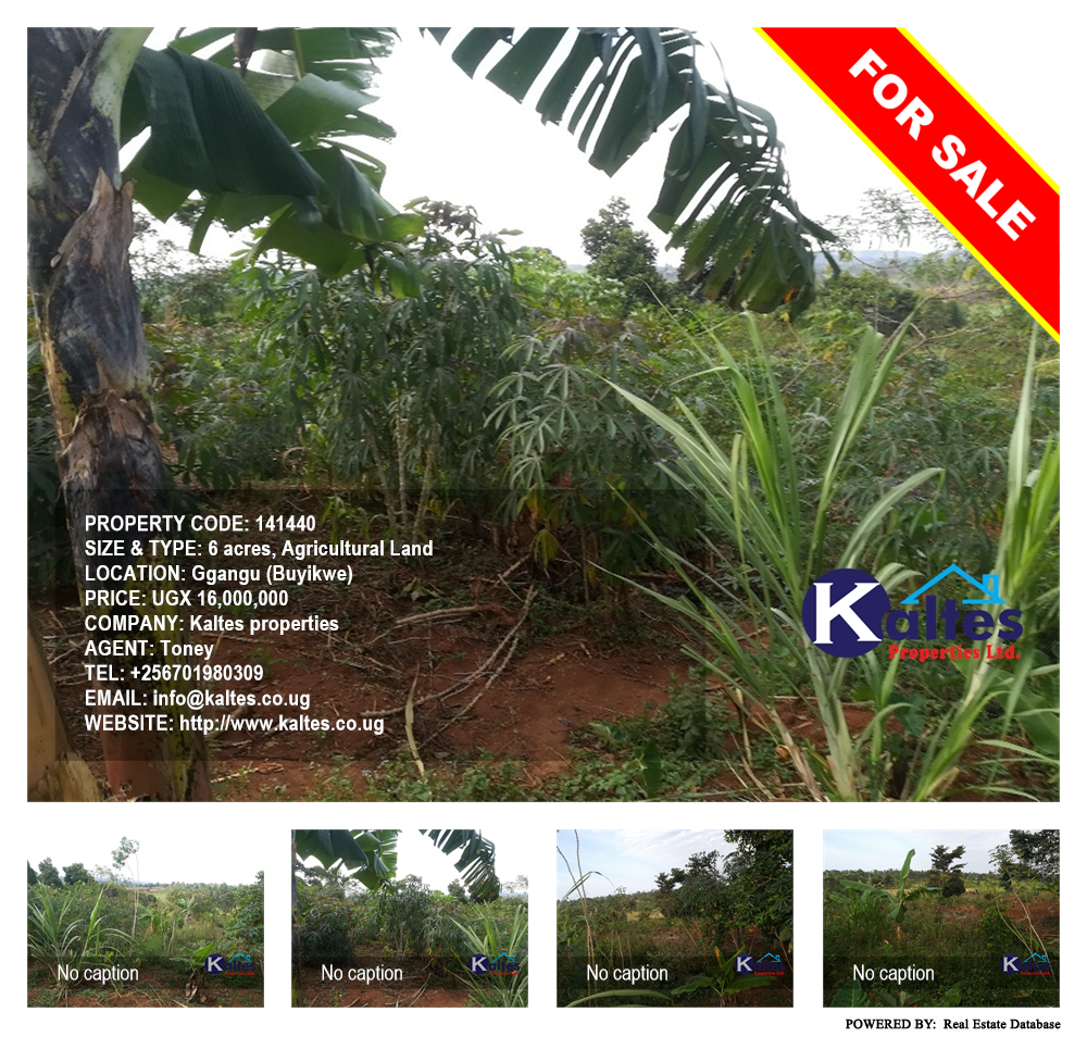 Agricultural Land  for sale in Ggangu Buyikwe Uganda, code: 141440