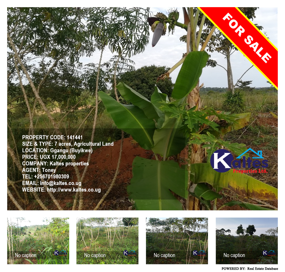 Agricultural Land  for sale in Ggangu Buyikwe Uganda, code: 141441