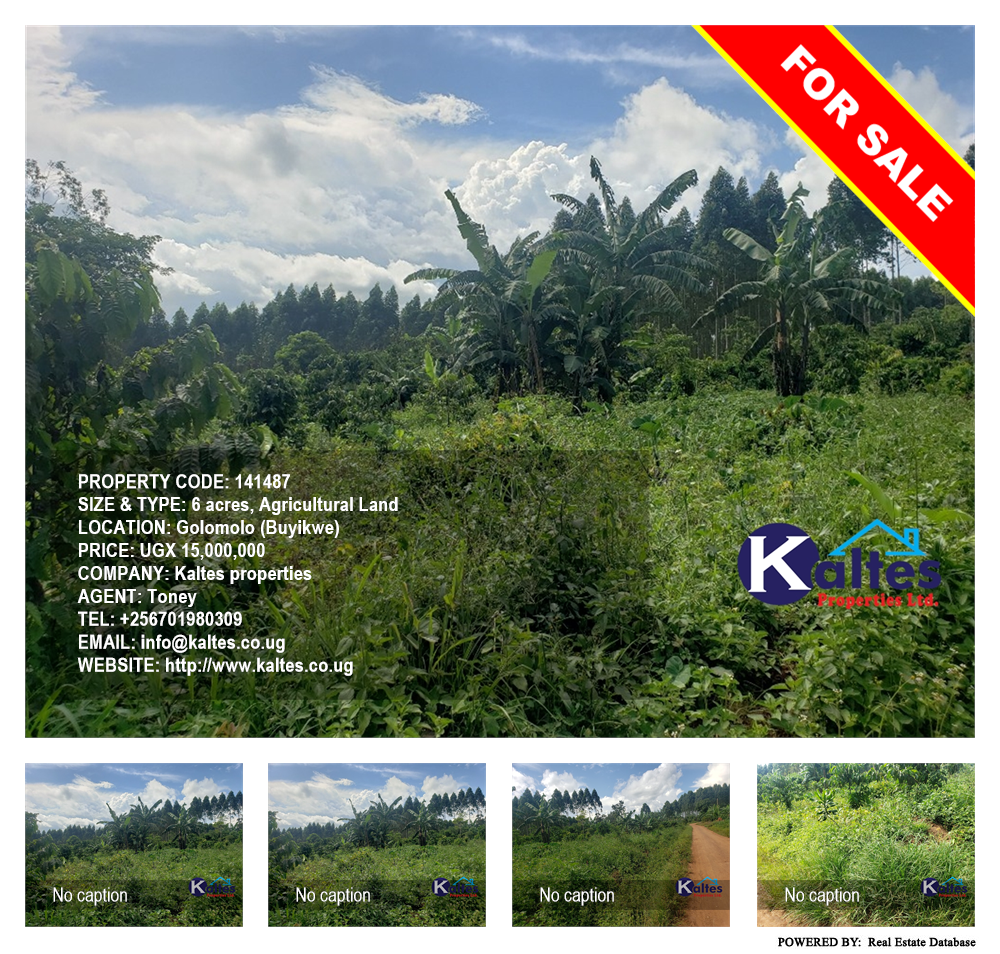 Agricultural Land  for sale in Golomolo Buyikwe Uganda, code: 141487