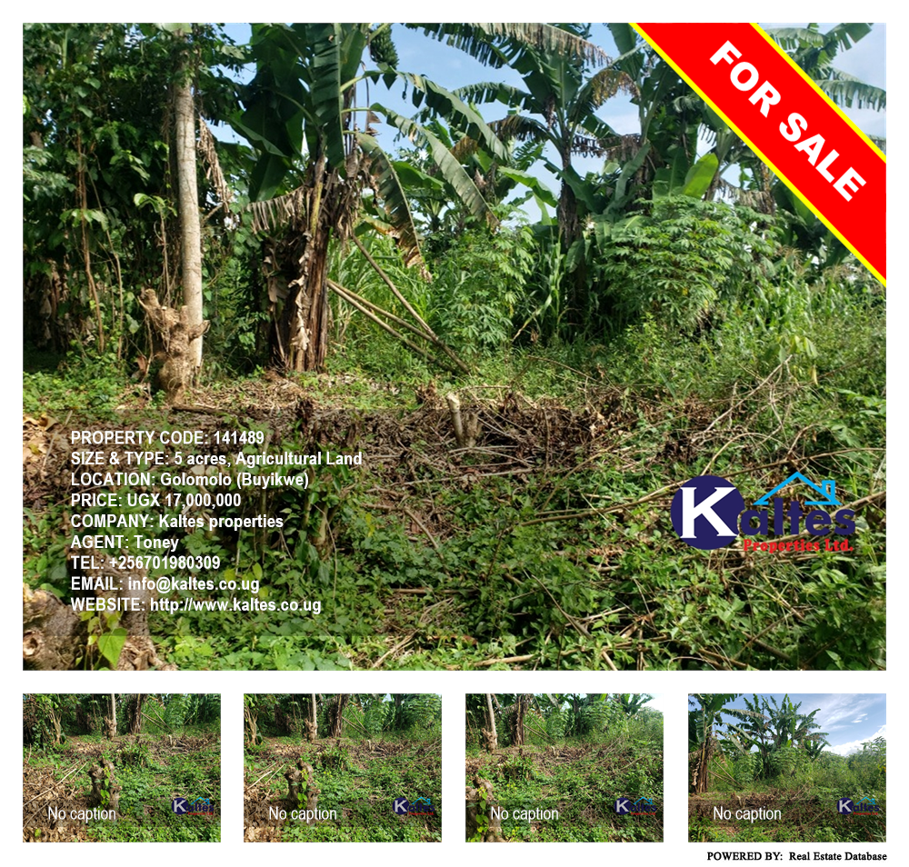 Agricultural Land  for sale in Golomolo Buyikwe Uganda, code: 141489