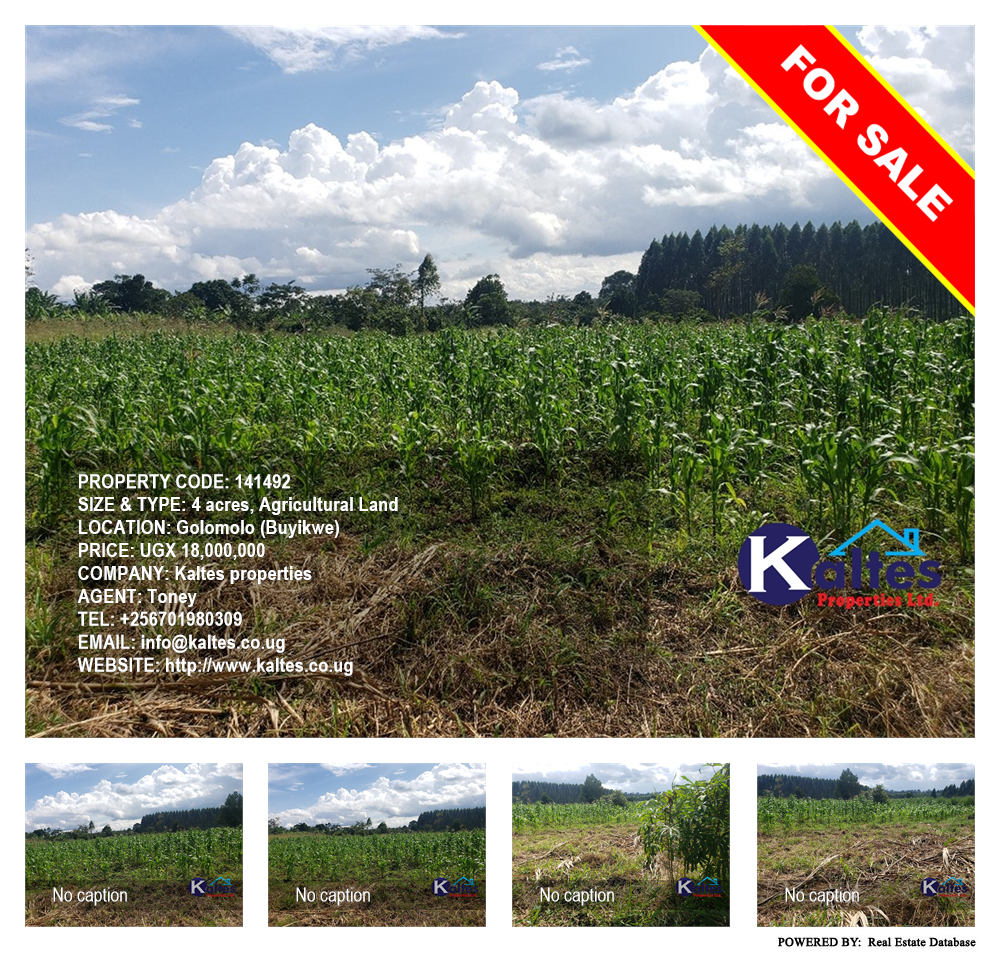 Agricultural Land  for sale in Golomolo Buyikwe Uganda, code: 141492