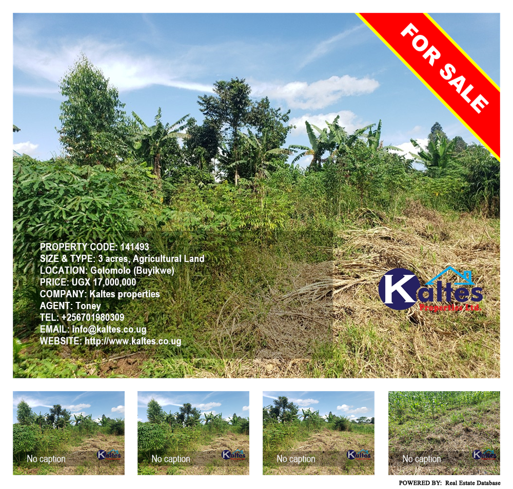 Agricultural Land  for sale in Golomolo Buyikwe Uganda, code: 141493