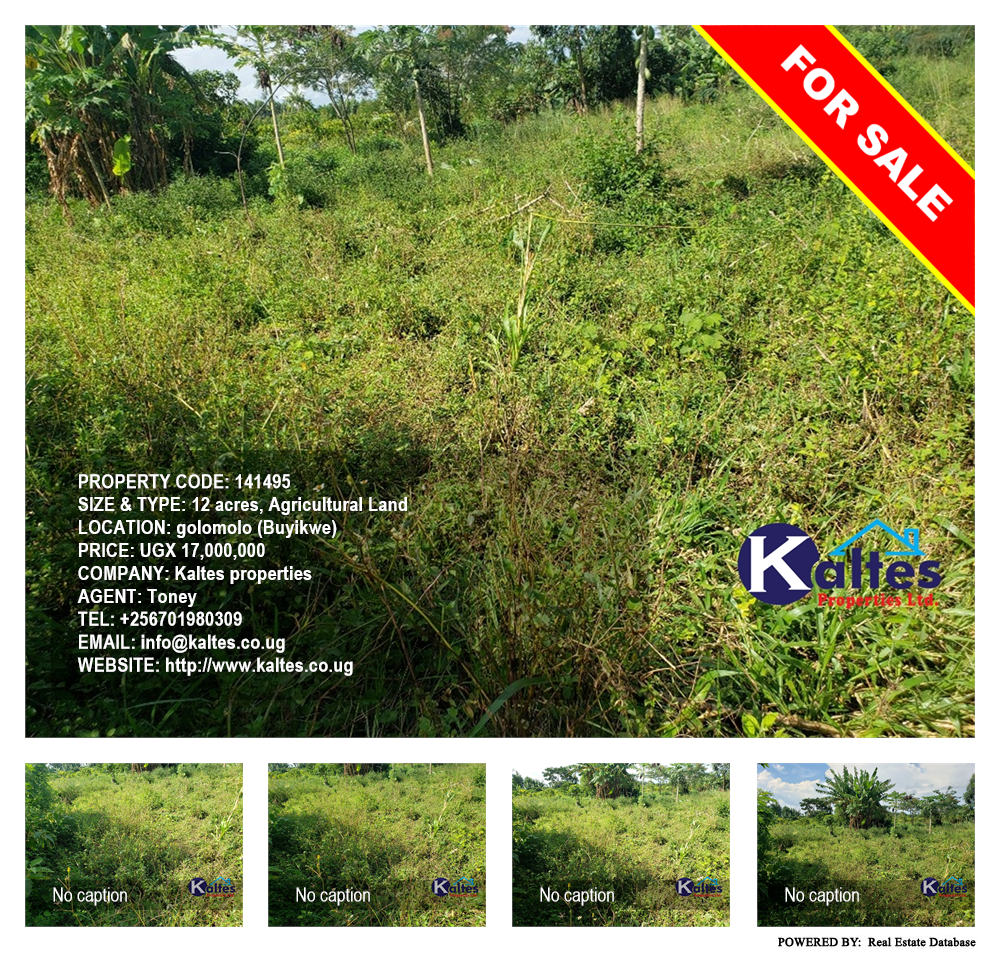 Agricultural Land  for sale in Golomolo Buyikwe Uganda, code: 141495