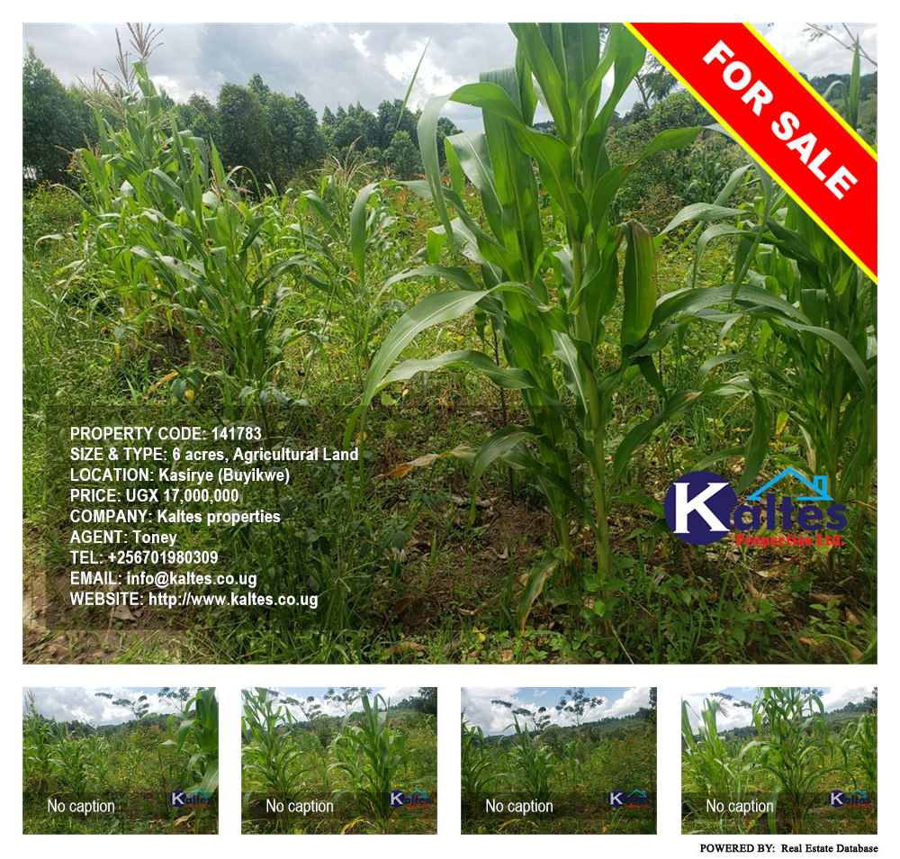 Agricultural Land  for sale in Kasirye Buyikwe Uganda, code: 141783