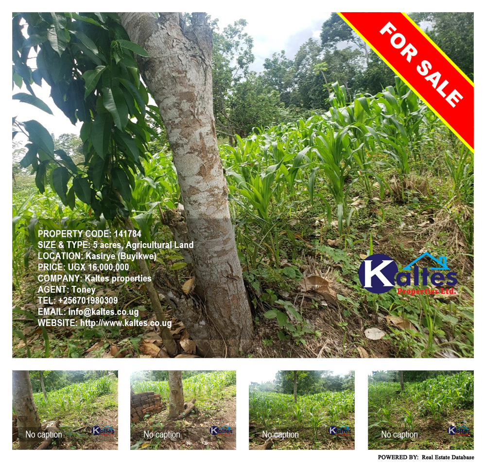 Agricultural Land  for sale in Kasirye Buyikwe Uganda, code: 141784