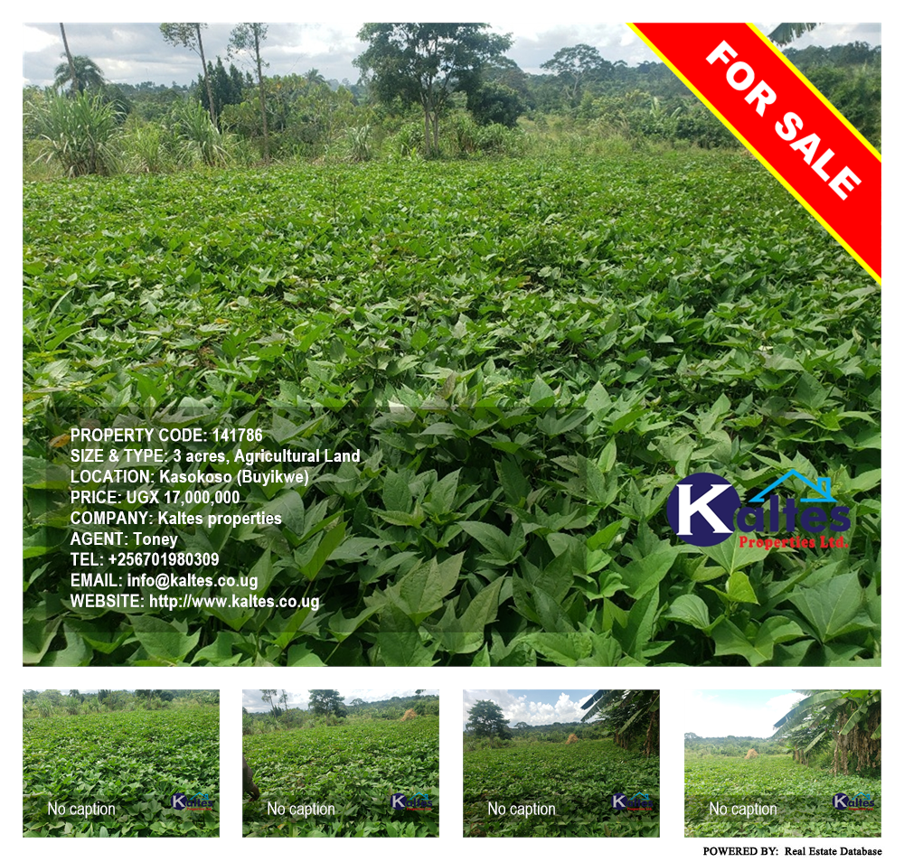 Agricultural Land  for sale in Kasokoso Buyikwe Uganda, code: 141786