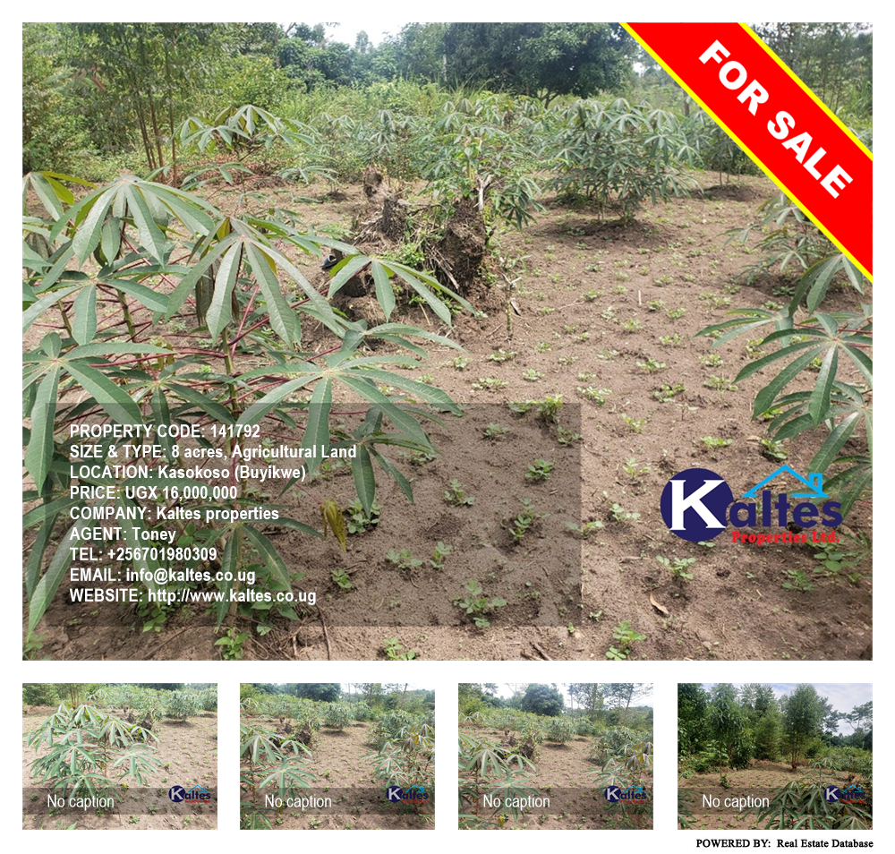 Agricultural Land  for sale in Kasokoso Buyikwe Uganda, code: 141792