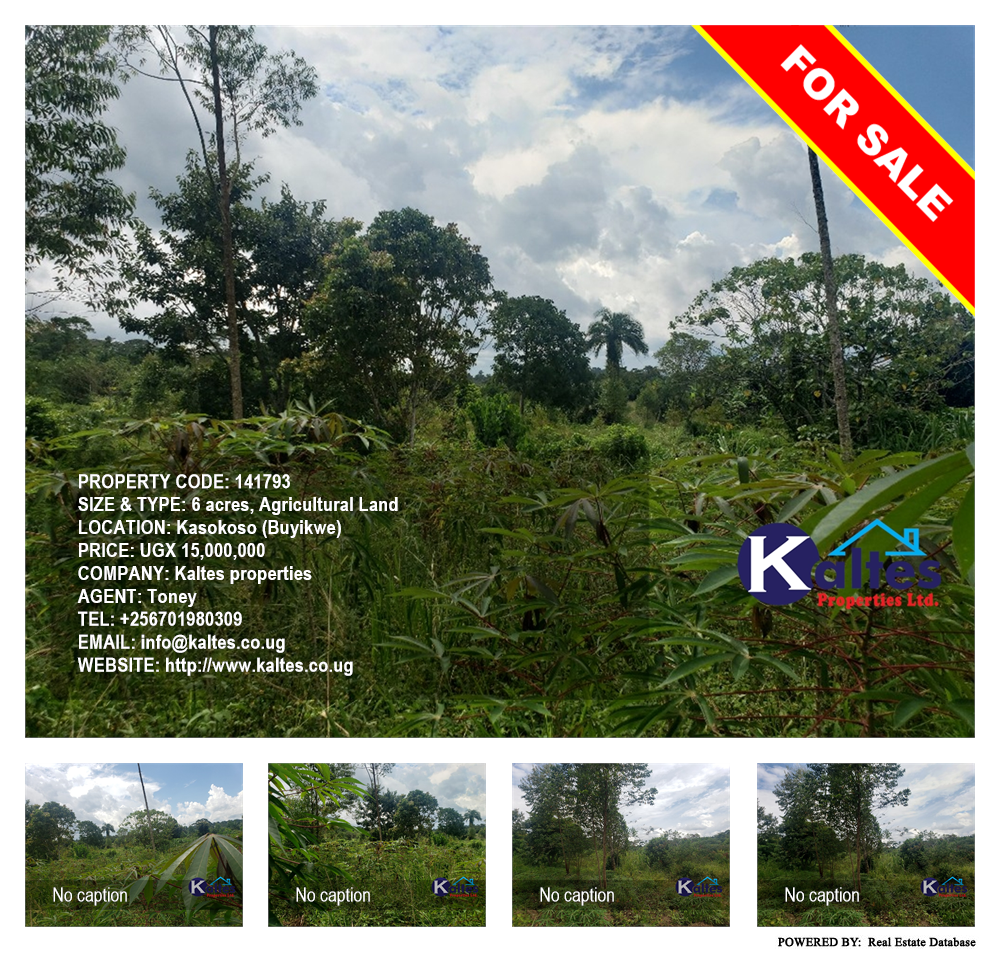 Agricultural Land  for sale in Kasokoso Buyikwe Uganda, code: 141793
