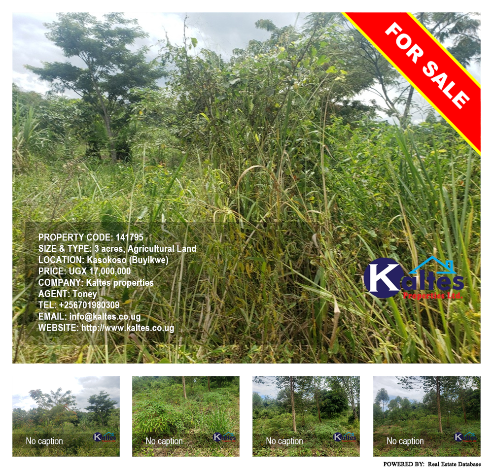 Agricultural Land  for sale in Kasokoso Buyikwe Uganda, code: 141795