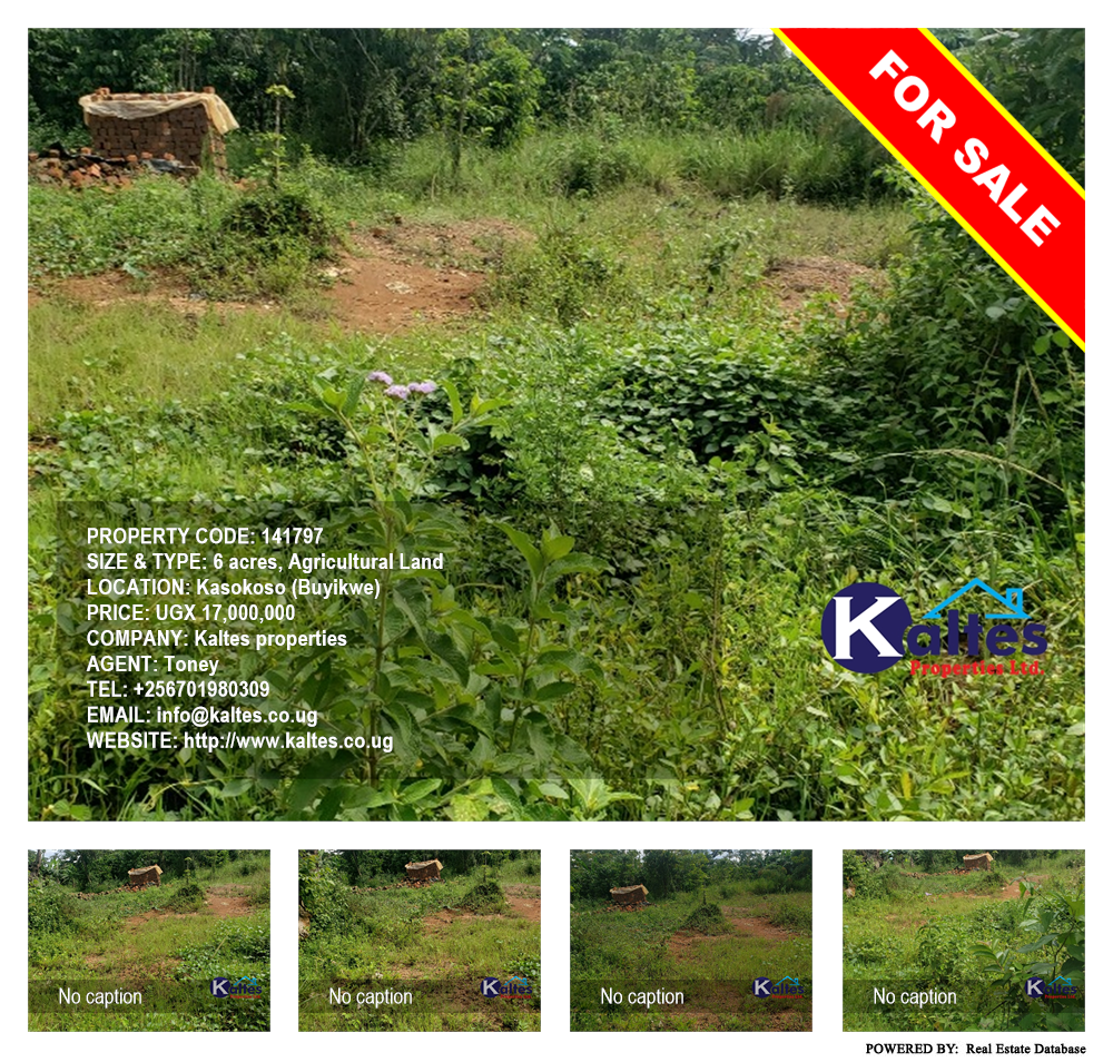 Agricultural Land  for sale in Kasokoso Buyikwe Uganda, code: 141797