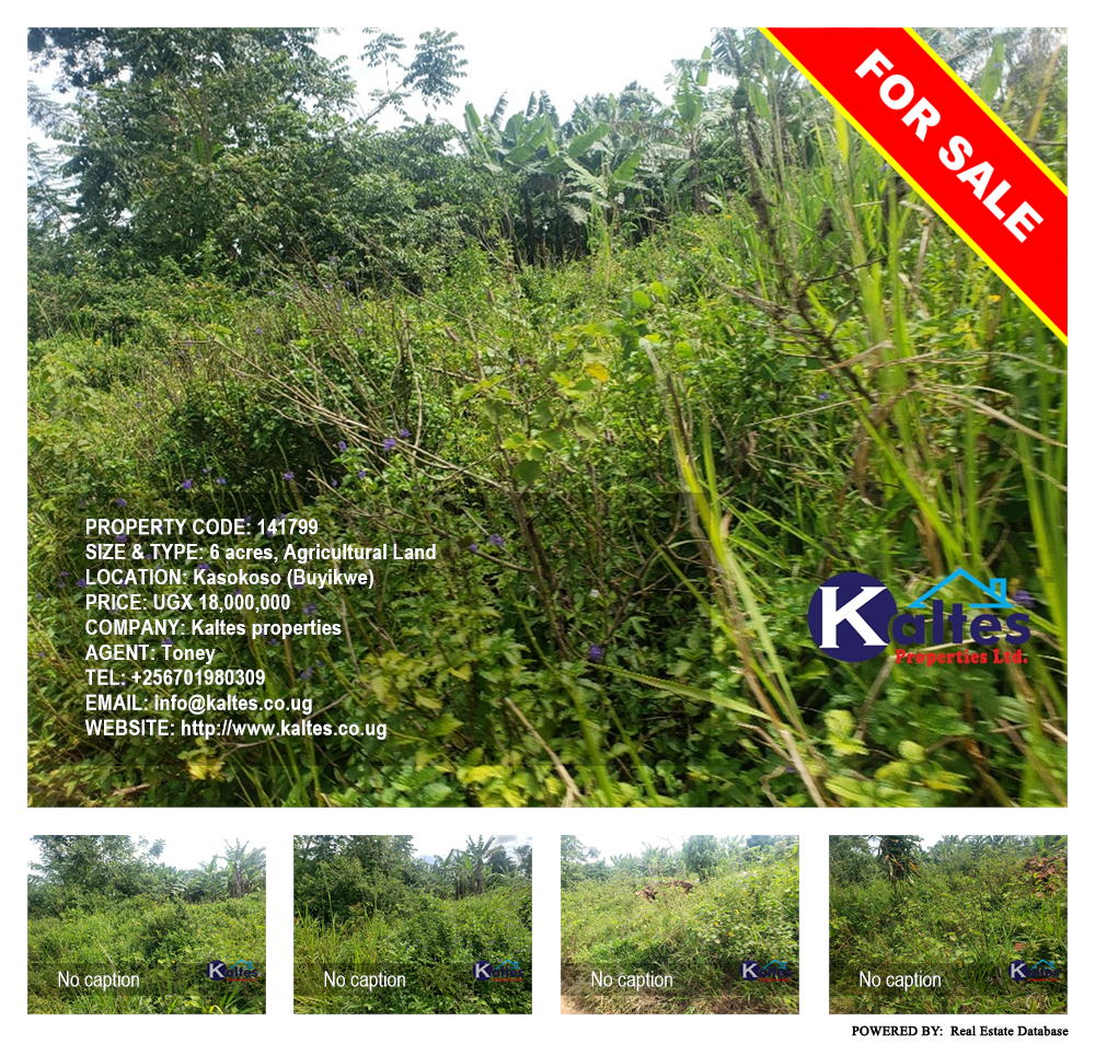 Agricultural Land  for sale in Kasokoso Buyikwe Uganda, code: 141799