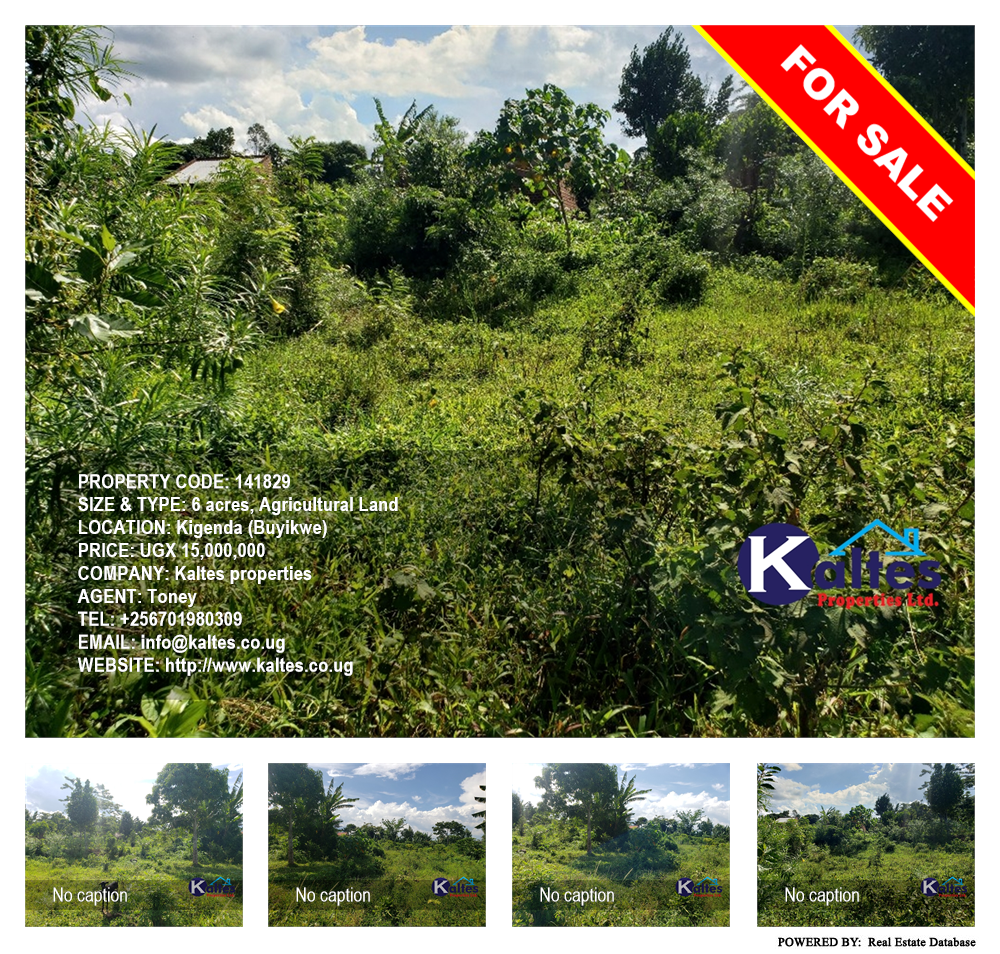 Agricultural Land  for sale in Kigenda Buyikwe Uganda, code: 141829