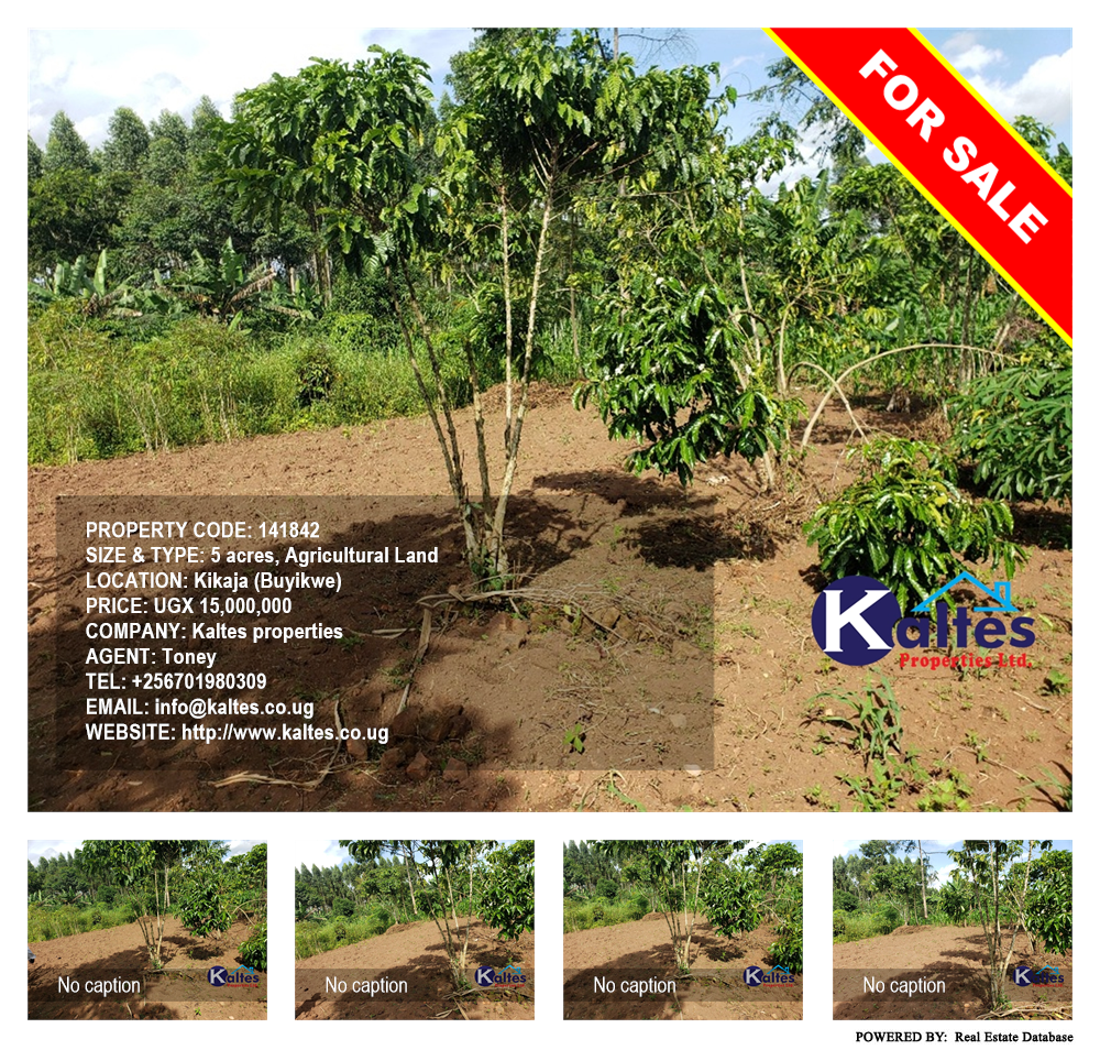 Agricultural Land  for sale in Kikaja Buyikwe Uganda, code: 141842