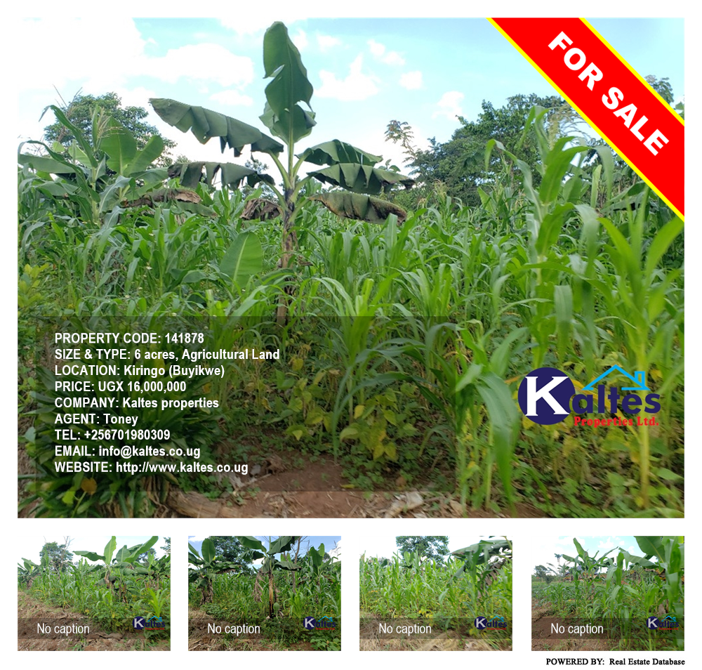 Agricultural Land  for sale in Kiringo Buyikwe Uganda, code: 141878