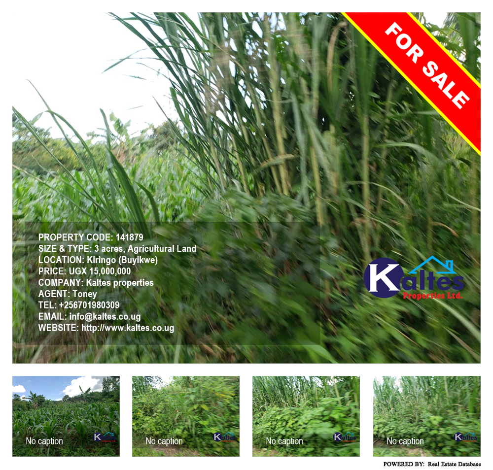 Agricultural Land  for sale in Kiringo Buyikwe Uganda, code: 141879
