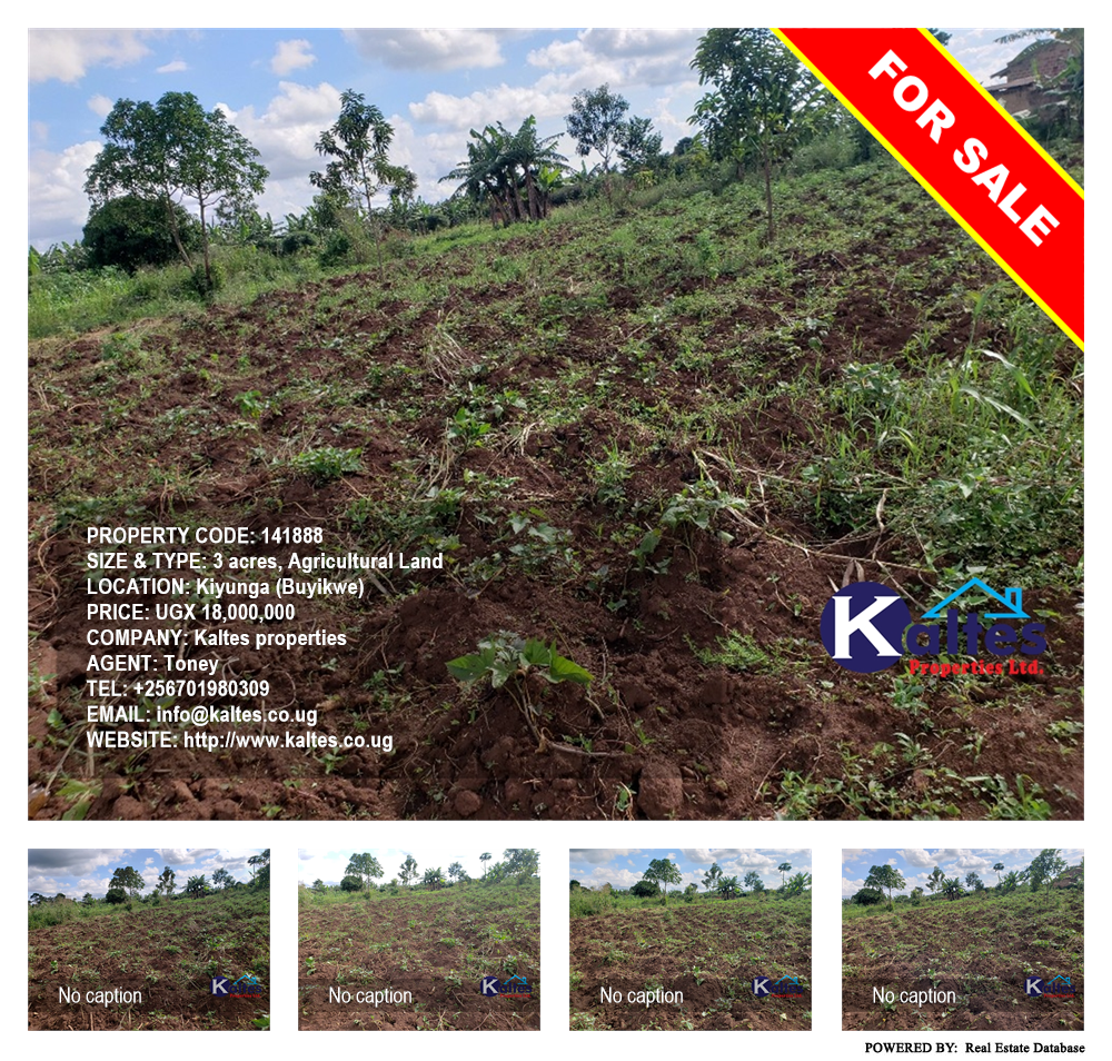 Agricultural Land  for sale in Kiyunga Buyikwe Uganda, code: 141888