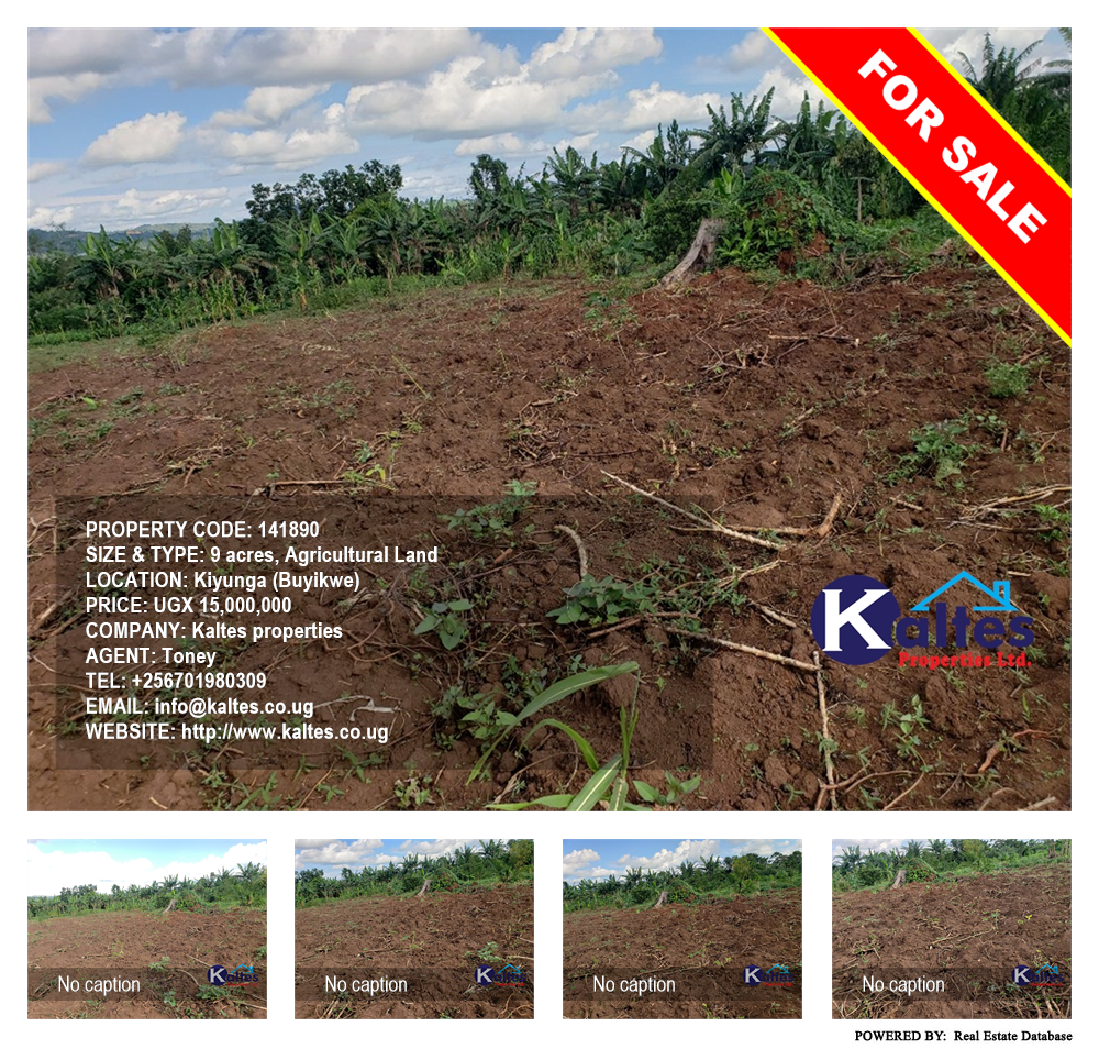 Agricultural Land  for sale in Kiyunga Buyikwe Uganda, code: 141890