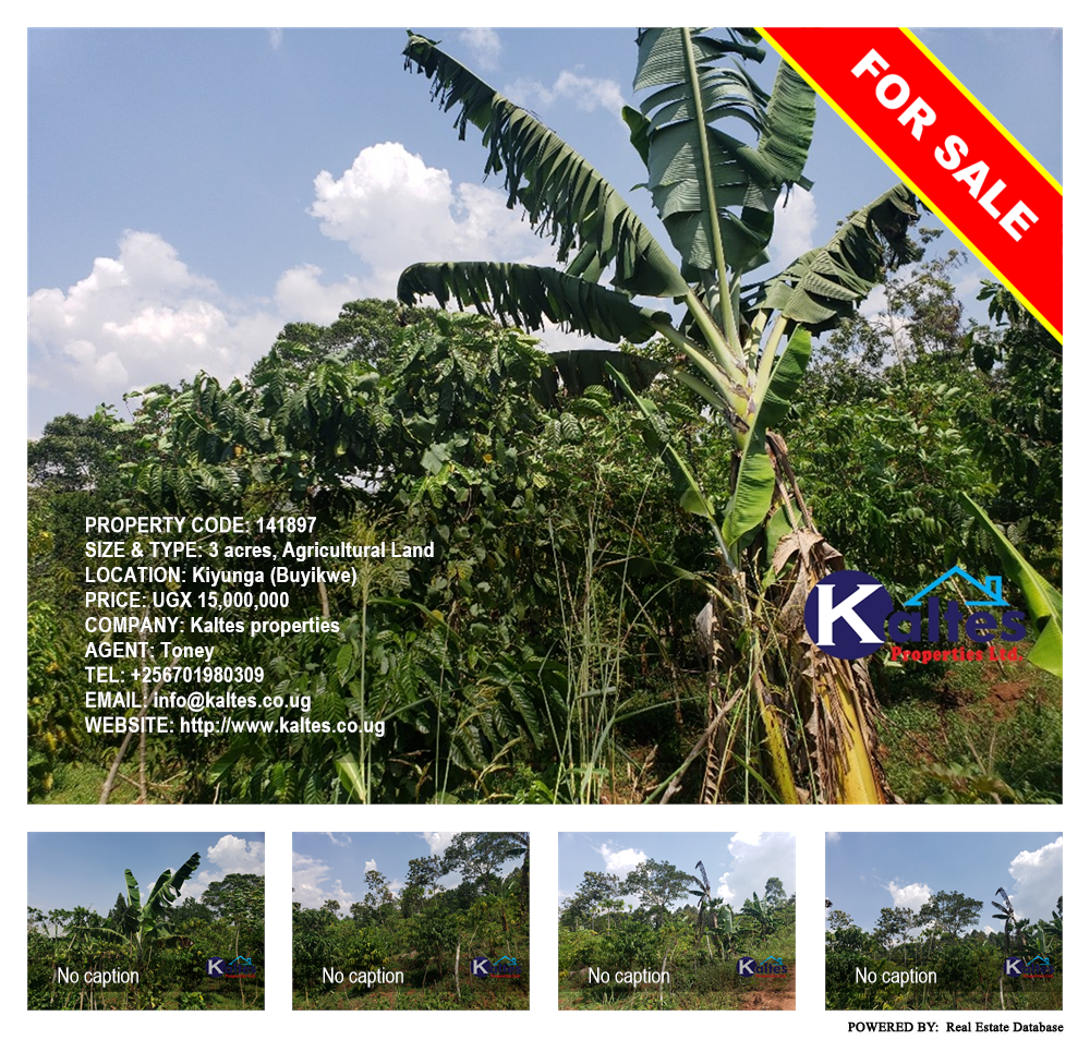 Agricultural Land  for sale in Kiyunga Buyikwe Uganda, code: 141897