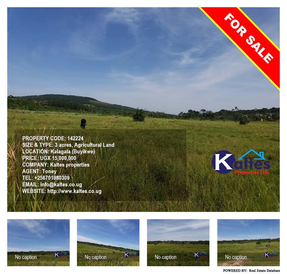 Agricultural Land  for sale in Kalagala Buyikwe Uganda, code: 142224