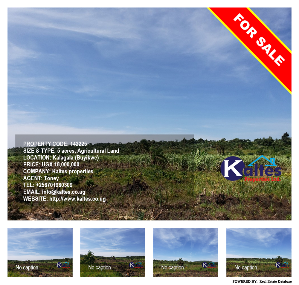 Agricultural Land  for sale in Kalagala Buyikwe Uganda, code: 142225