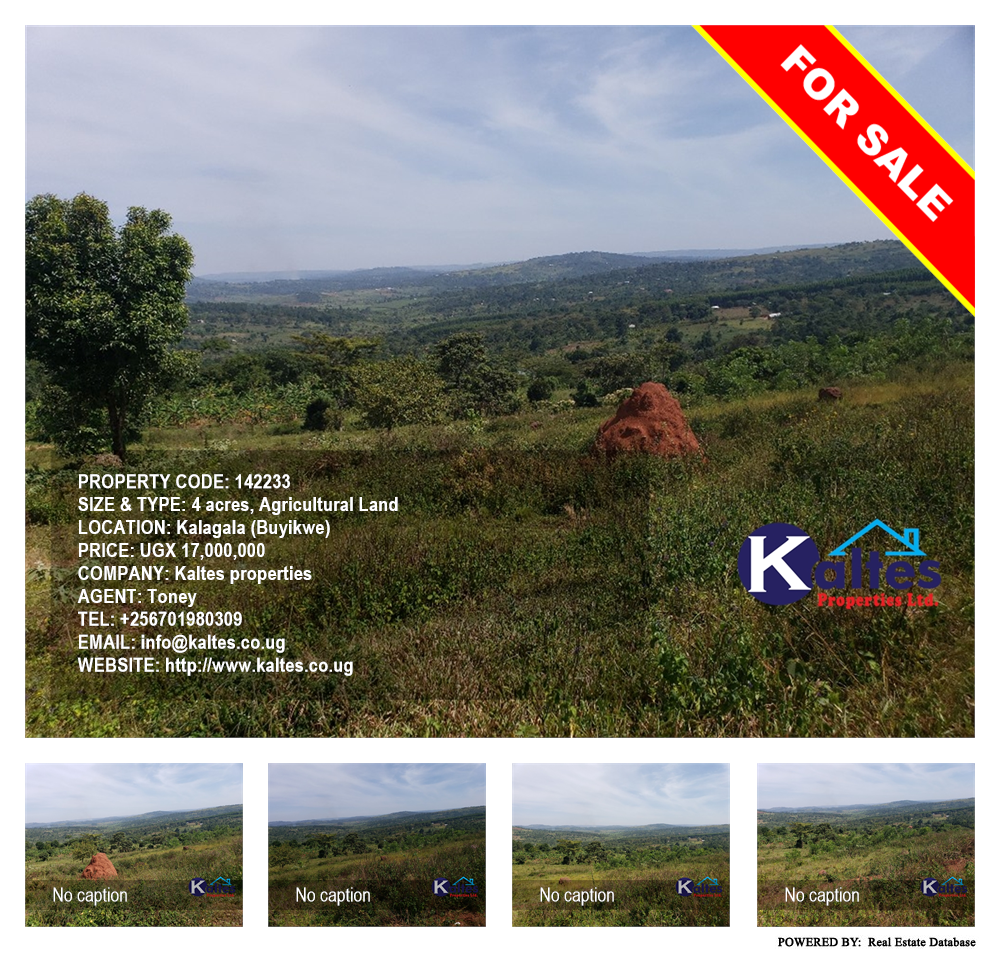 Agricultural Land  for sale in Kalagala Buyikwe Uganda, code: 142233
