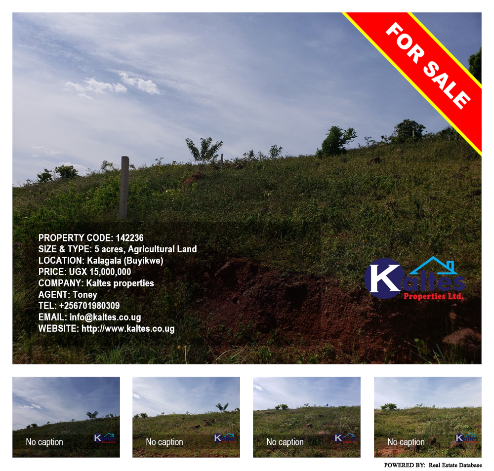 Agricultural Land  for sale in Kalagala Buyikwe Uganda, code: 142236