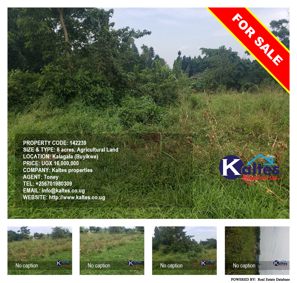 Agricultural Land  for sale in Kalagala Buyikwe Uganda, code: 142239