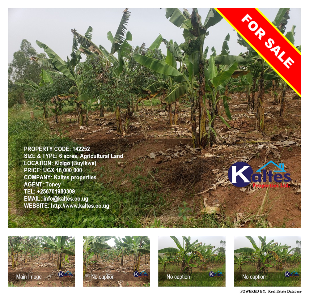 Agricultural Land  for sale in Kizigo Buyikwe Uganda, code: 142252