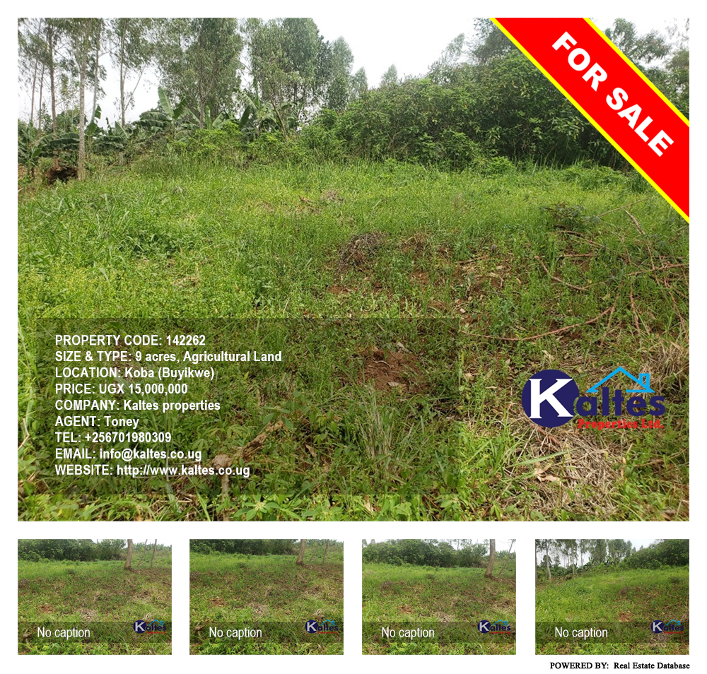 Agricultural Land  for sale in Koba Buyikwe Uganda, code: 142262