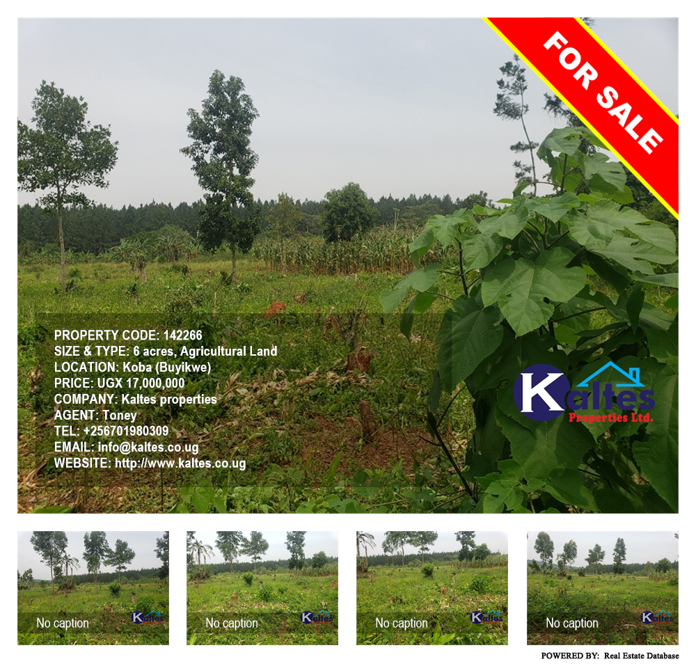 Agricultural Land  for sale in Koba Buyikwe Uganda, code: 142266