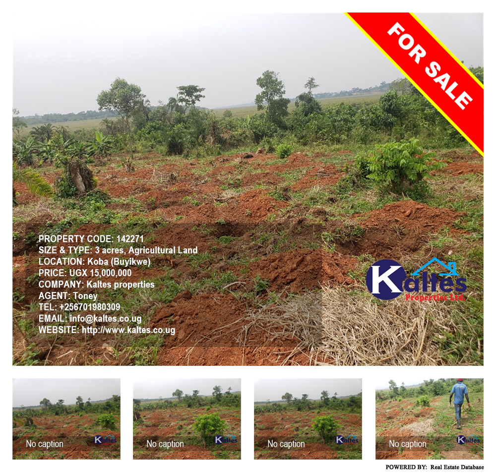 Agricultural Land  for sale in Koba Buyikwe Uganda, code: 142271