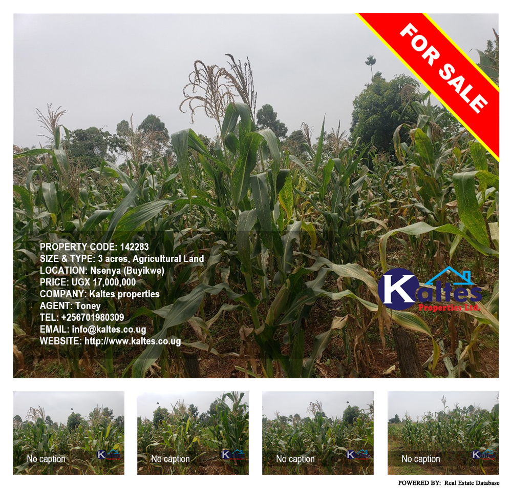 Agricultural Land  for sale in Nsenya Buyikwe Uganda, code: 142283