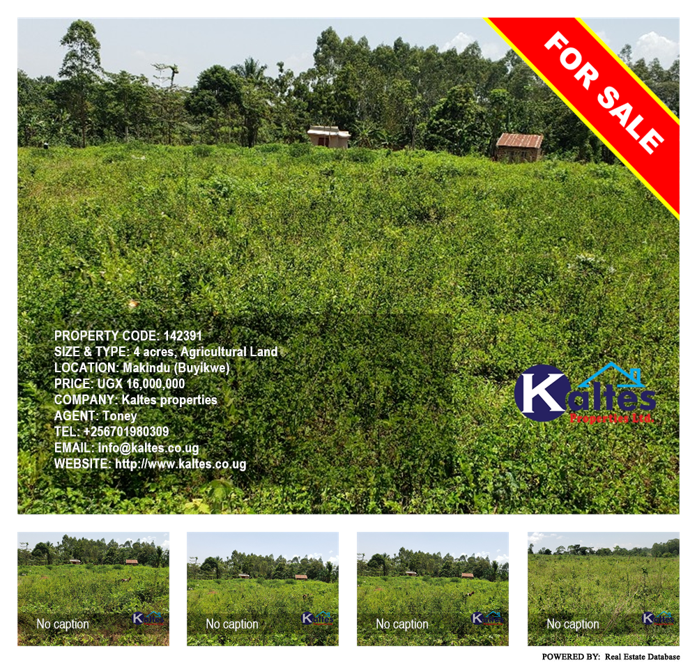 Agricultural Land  for sale in Makindu Buyikwe Uganda, code: 142391