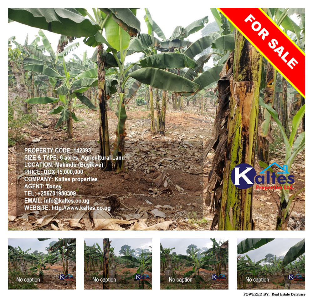 Agricultural Land  for sale in Makindu Buyikwe Uganda, code: 142393