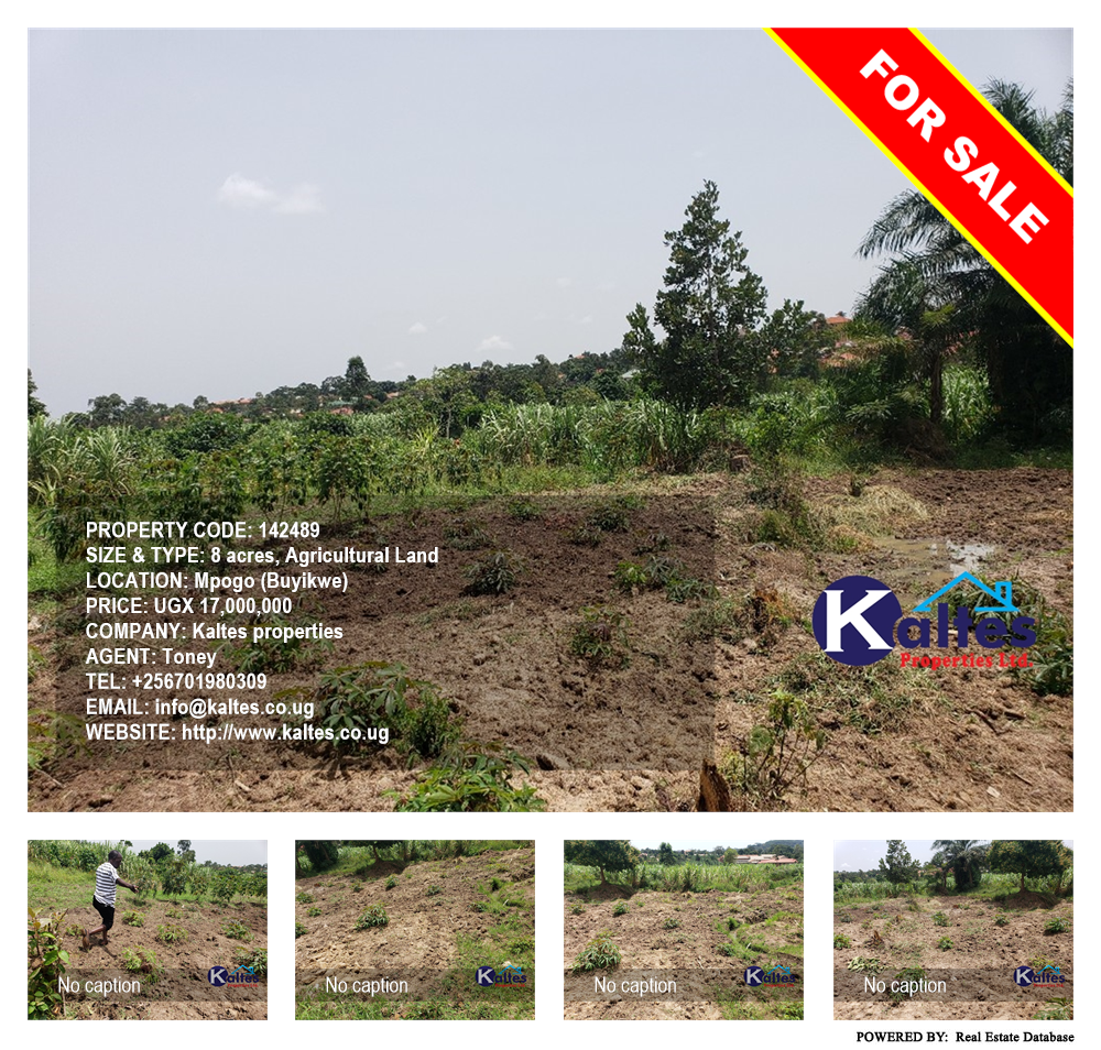 Agricultural Land  for sale in Mpogo Buyikwe Uganda, code: 142489