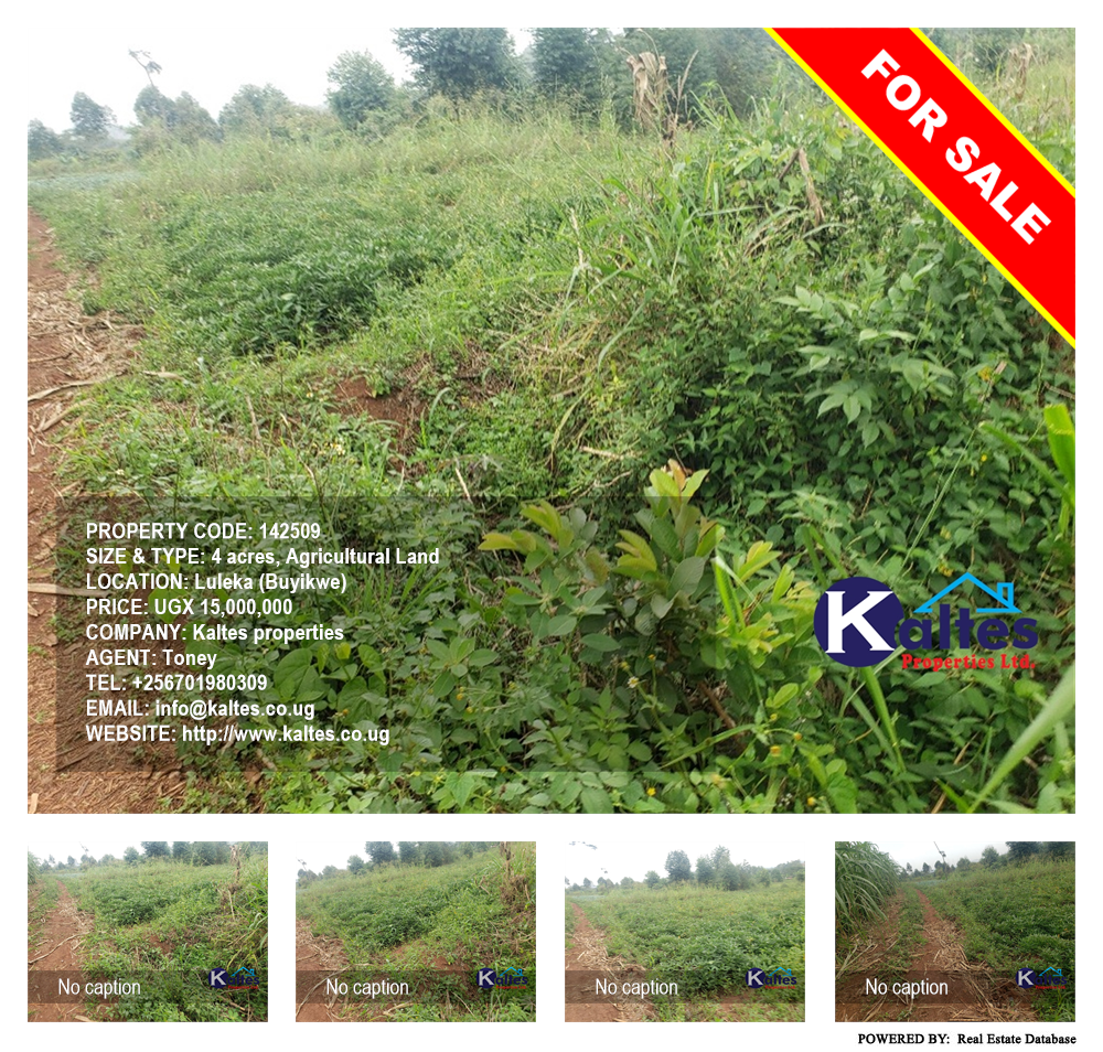 Agricultural Land  for sale in Luleka Buyikwe Uganda, code: 142509