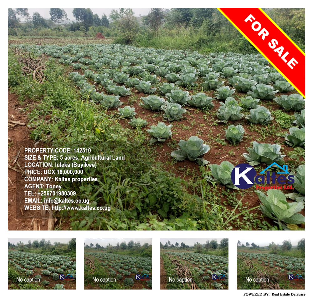 Agricultural Land  for sale in Luleka Buyikwe Uganda, code: 142510