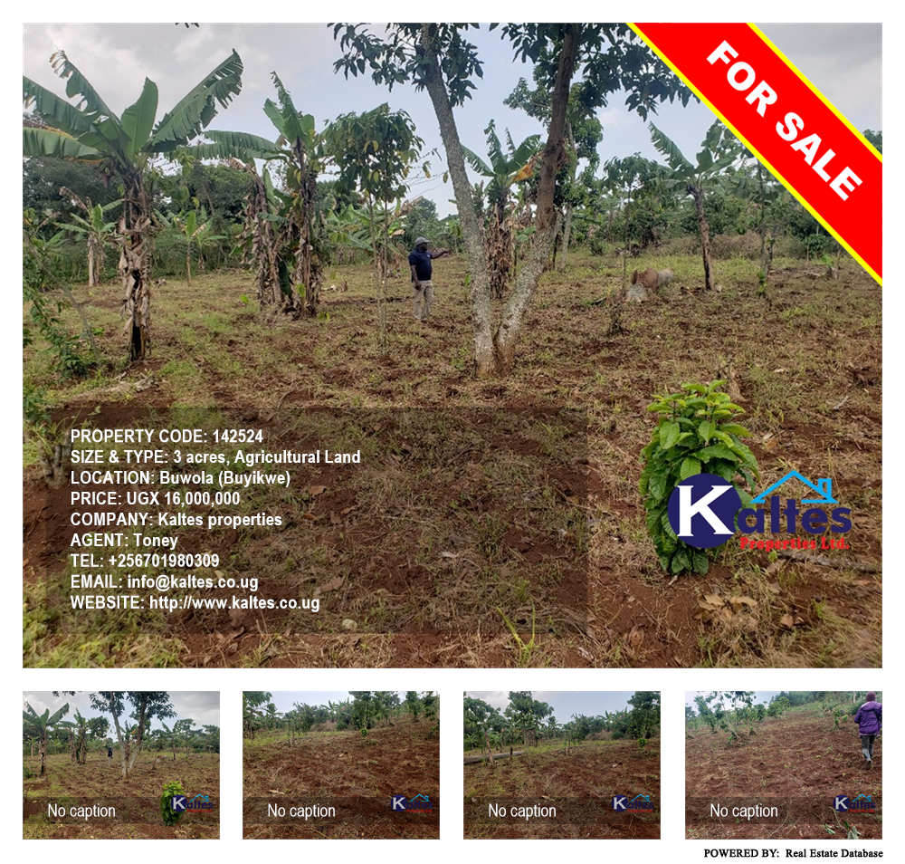 Agricultural Land  for sale in Buwola Buyikwe Uganda, code: 142524